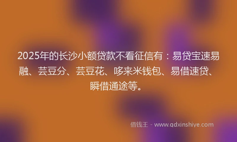 2025年的长沙小额贷款不看征信有：易贷宝速易融、芸豆分、芸豆花、哆来米钱包、易借速贷、瞬借通途等。