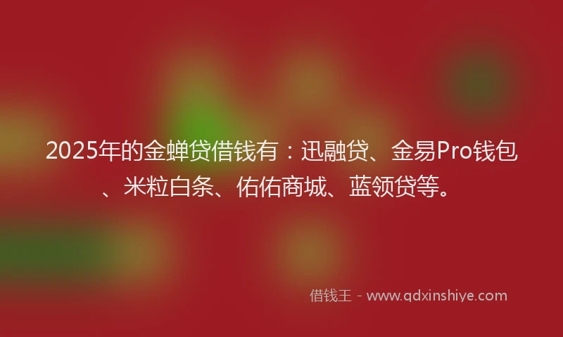 2025年的金蝉贷借钱有：迅融贷、金易Pro钱包、米粒白条、佑佑商城、蓝领贷等。