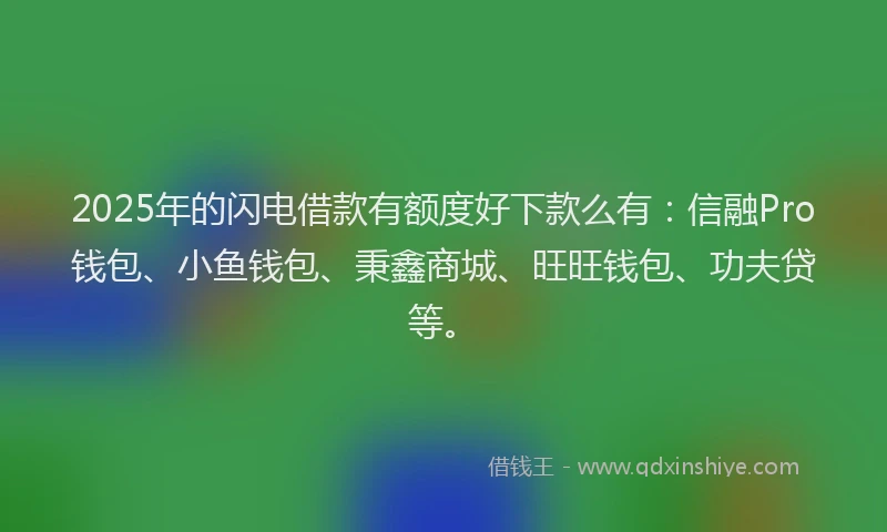 2025年的闪电借款有额度好下款么有：信融Pro钱包、小鱼钱包、秉鑫商城、旺旺钱包、功夫贷等。