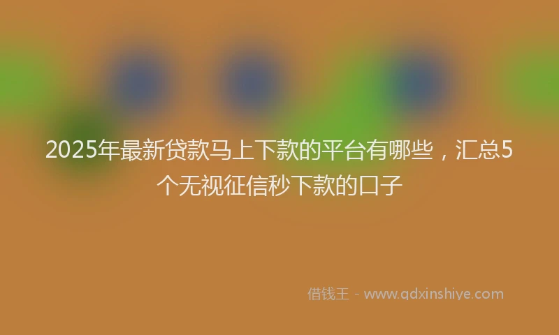 2025年最新贷款马上下款的平台有哪些，汇总5个无视征信秒下款的口子