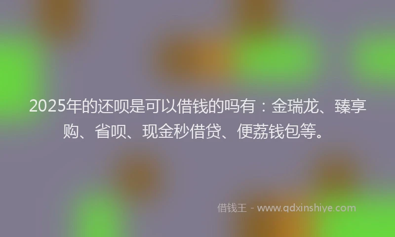 2025年的还呗是可以借钱的吗有：金瑞龙、臻享购、省呗、现金秒借贷、便荔钱包等。