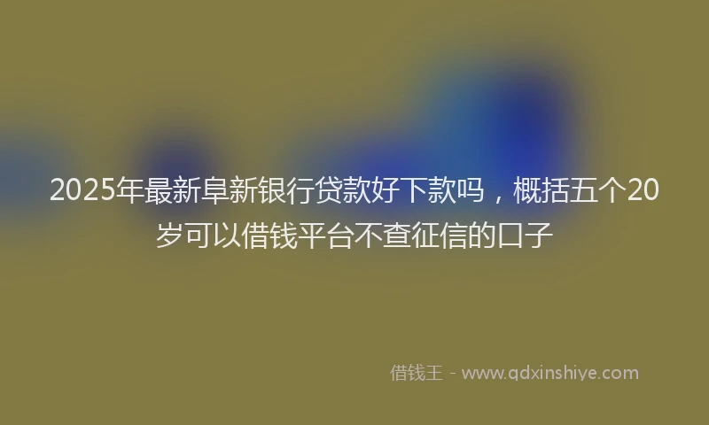 2025年最新阜新银行贷款好下款吗，概括五个20岁可以借钱平台不查征信的口子