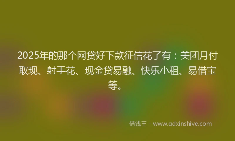 2025年的那个网贷好下款征信花了有：美团月付取现、射手花、现金贷易融、快乐小租、易借宝等。