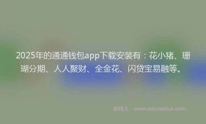 2025年的通通钱包app下载安装有：花小猪、珊瑚分期、人人聚财、全金花、闪贷宝易融等。