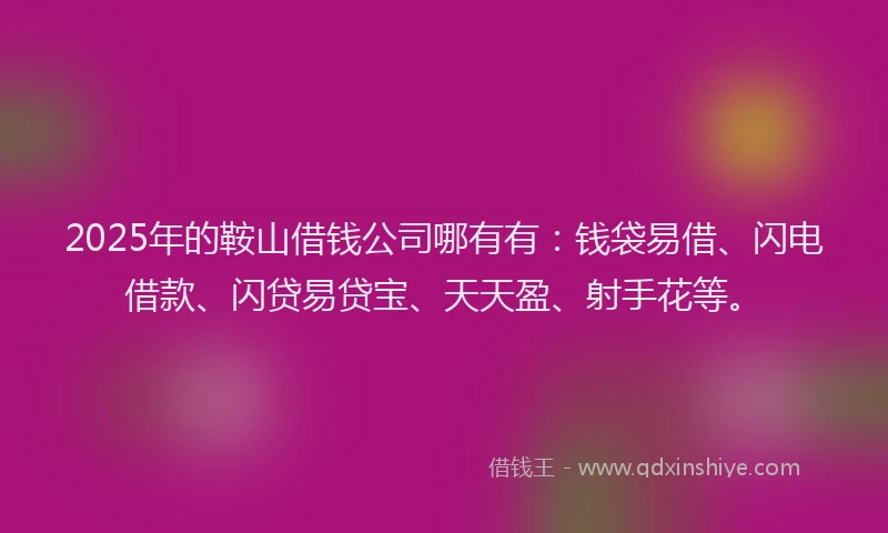 2025年的鞍山借钱公司哪有有：钱袋易借、闪电借款、闪贷易贷宝、天天盈、射手花等。