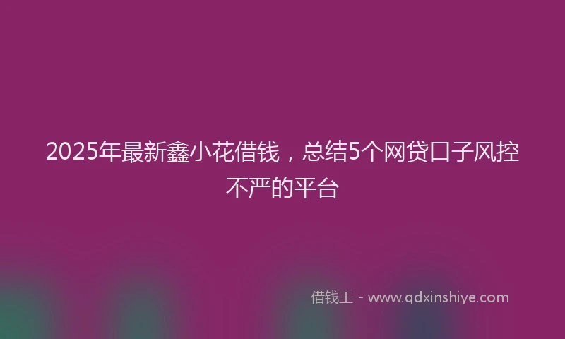 2025年最新鑫小花借钱，总结5个网贷口子风控不严的平台