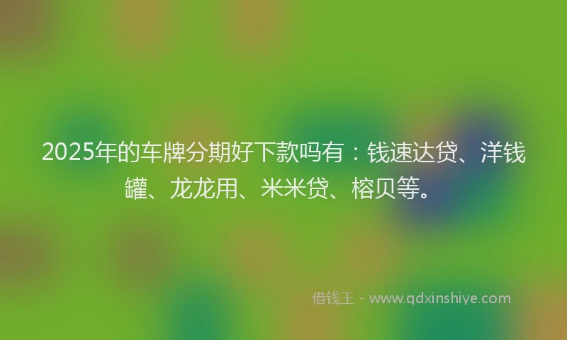 2025年的车牌分期好下款吗有：钱速达贷、洋钱罐、龙龙用、米米贷、榕贝等。
