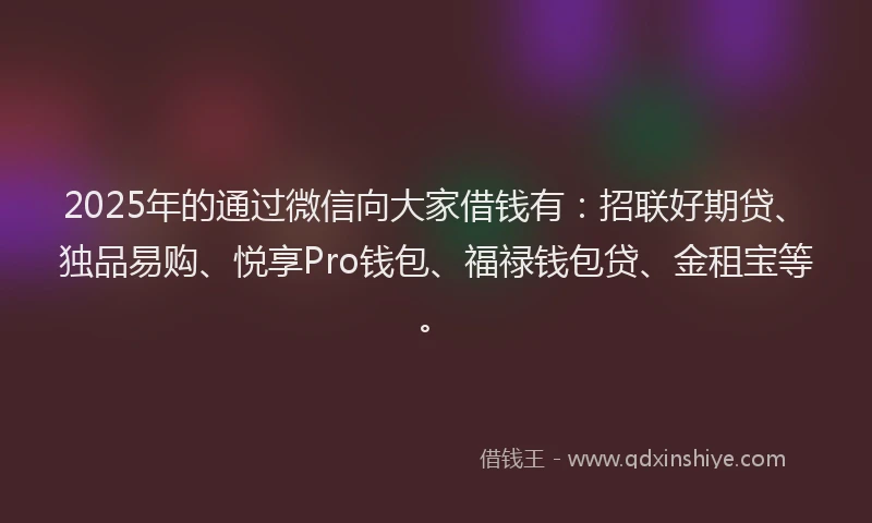 2025年的通过微信向大家借钱有：招联好期贷、独品易购、悦享Pro钱包、福禄钱包贷、金租宝等。