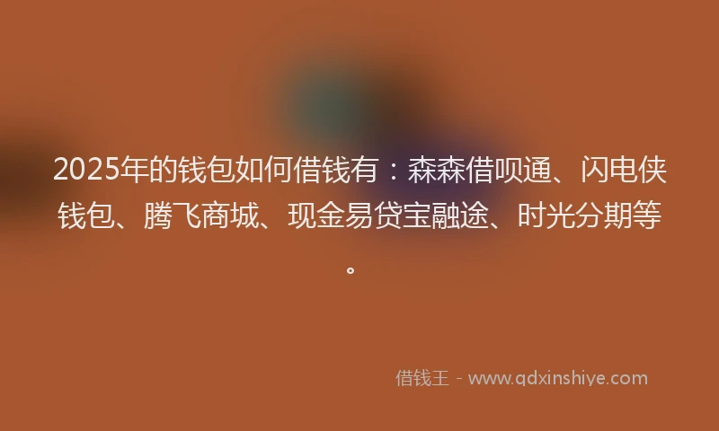 2025年的钱包如何借钱有：森森借呗通、闪电侠钱包、腾飞商城、现金易贷宝融途、时光分期等。