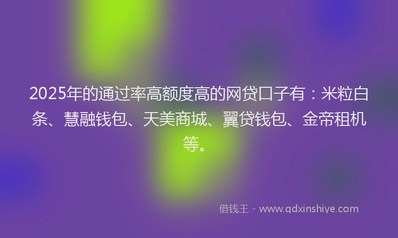2025年的通过率高额度高的网贷口子有：米粒白条、慧融钱包、天美商城、翼贷钱包、金帝租机等。
