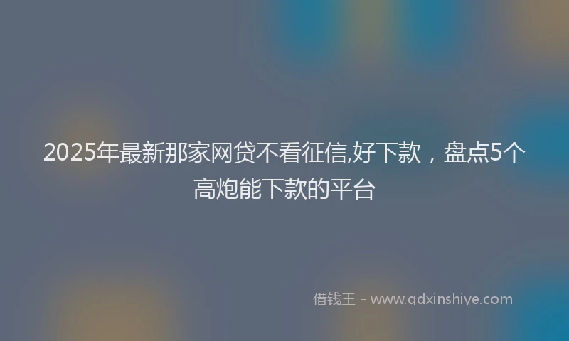 2025年最新那家网贷不看征信,好下款，盘点5个高炮能下款的平台