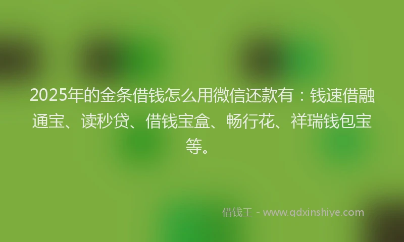 2025年的金条借钱怎么用微信还款有：钱速借融通宝、读秒贷、借钱宝盒、畅行花、祥瑞钱包宝等。