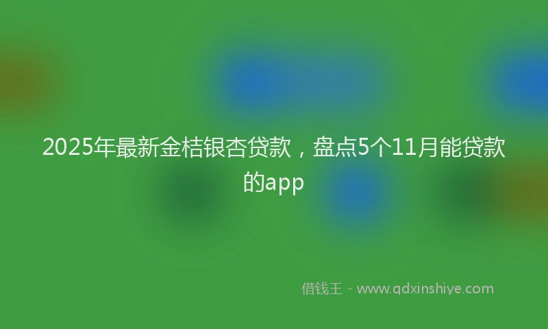 2025年最新金桔银杏贷款，盘点5个11月能贷款的app