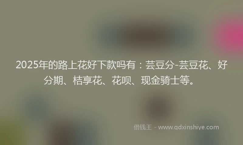 2025年的路上花好下款吗有：芸豆分-芸豆花、好分期、桔享花、花呗、现金骑士等。