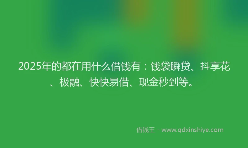 2025年的都在用什么借钱有：钱袋瞬贷、抖享花、极融、快快易借、现金秒到等。