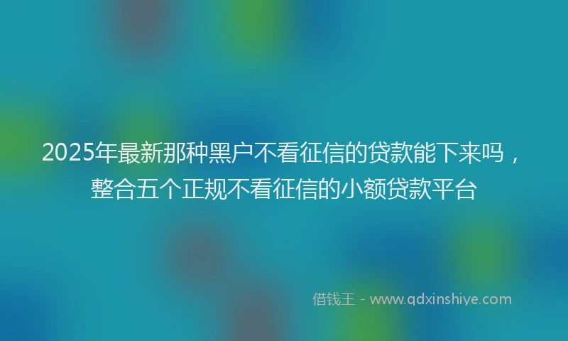 2025年最新那种黑户不看征信的贷款能下来吗，整合五个正规不看征信的小额贷款平台