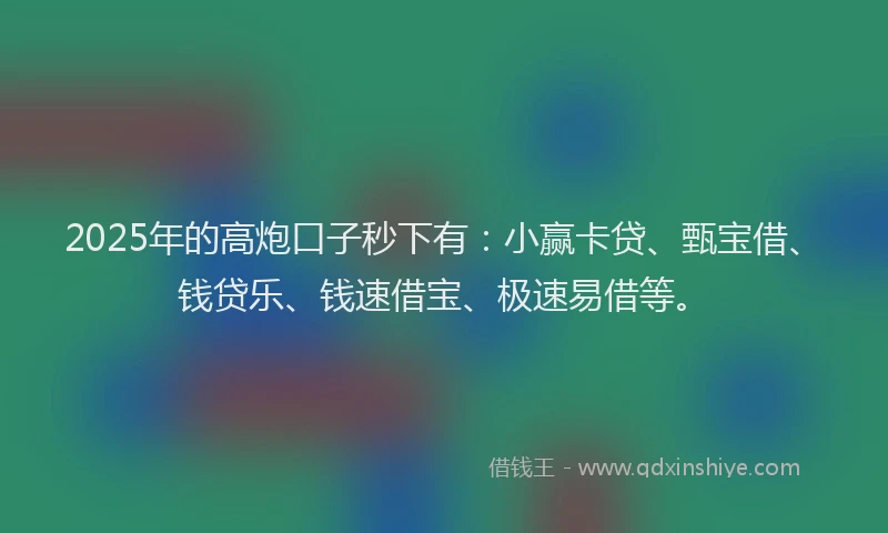 2025年的高炮口子秒下有：小赢卡贷、甄宝借、钱贷乐、钱速借宝、极速易借等。