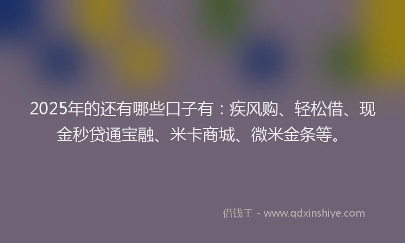 2025年的还有哪些口子有：疾风购、轻松借、现金秒贷通宝融、米卡商城、微米金条等。