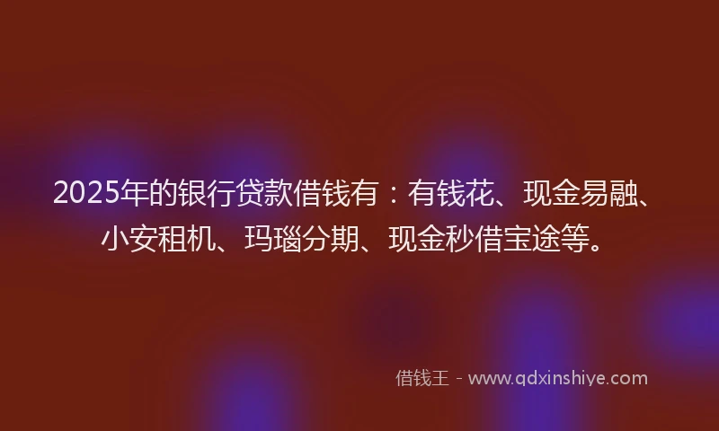 2025年的银行贷款借钱有：有钱花、现金易融、小安租机、玛瑙分期、现金秒借宝途等。
