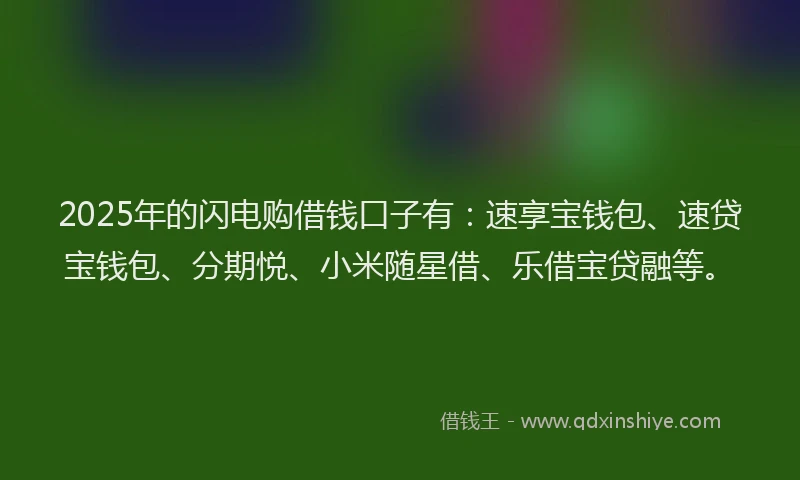 2025年的闪电购借钱口子有：速享宝钱包、速贷宝钱包、分期悦、小米随星借、乐借宝贷融等。