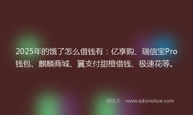 2025年的饿了怎么借钱有：亿享购、瑞信宝Pro钱包、麒麟商城、翼支付甜橙借钱、极速花等。