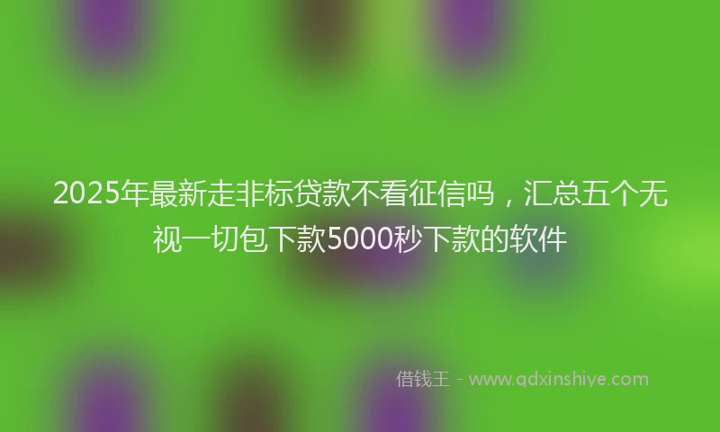 2025年最新走非标贷款不看征信吗,汇总五个无视一切包下款5000秒下款的软件