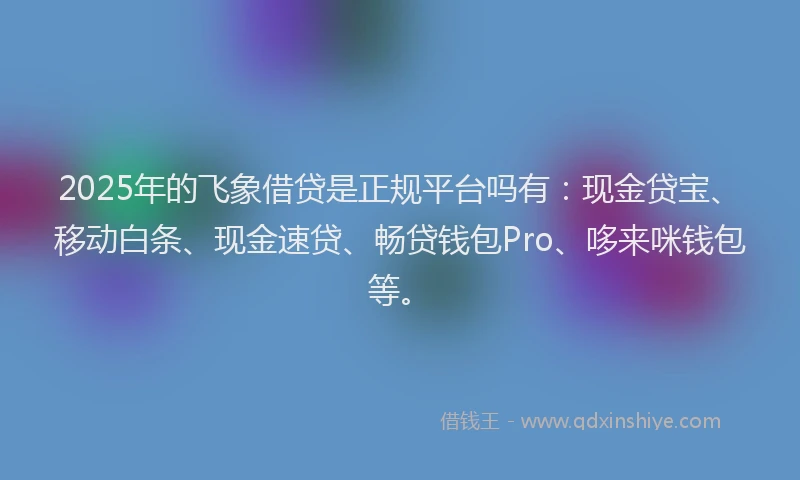 2025年的飞象借贷是正规平台吗有：现金贷宝、移动白条、现金速贷、畅贷钱包Pro、哆来咪钱包等。