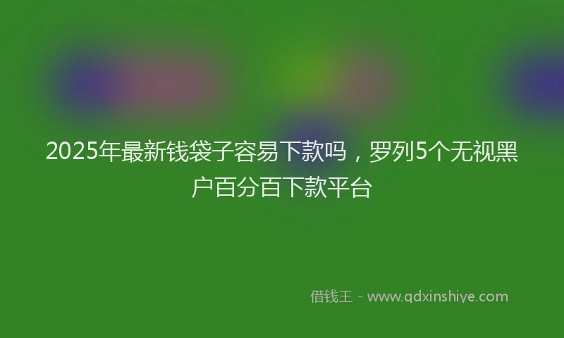 2025年最新钱袋子容易下款吗，罗列5个无视黑户百分百下款平台