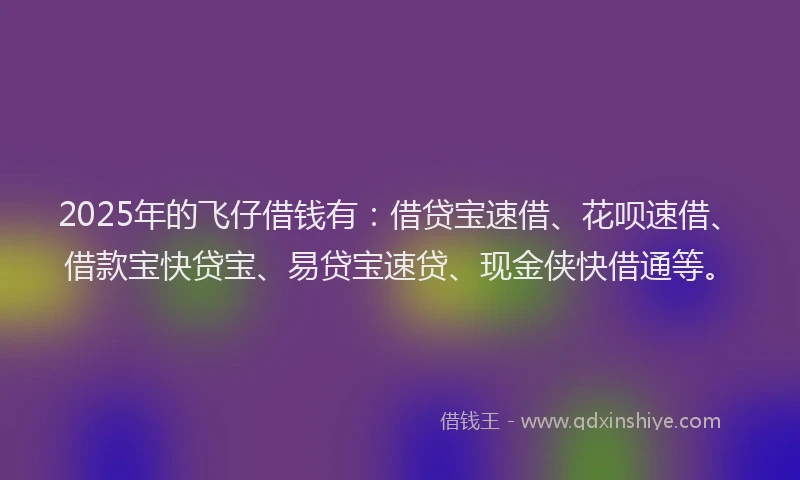 2025年的飞仔借钱有：借贷宝速借、花呗速借、借款宝快贷宝、易贷宝速贷、现金侠快借通等。