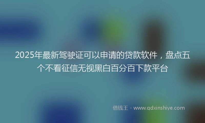 2025年最新驾驶证可以申请的贷款软件，盘点五个不看征信无视黑白百分百下款平台