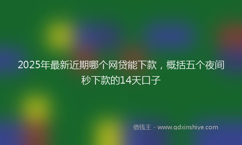 2025年最新近期哪个网贷能下款，概括五个夜间秒下款的14天口子
