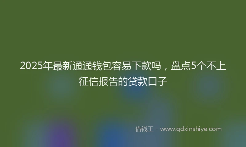 2025年最新通通钱包容易下款吗，盘点5个不上征信报告的贷款口子