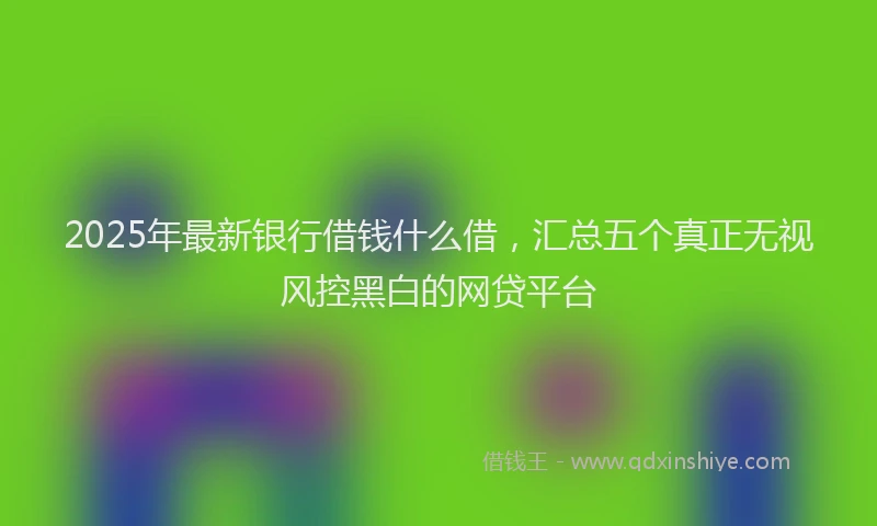 2025年最新银行借钱什么借，汇总五个真正无视风控黑白的网贷平台