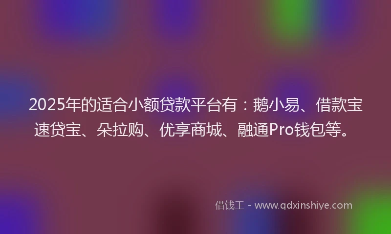 2025年的适合小额贷款平台有：鹅小易、借款宝速贷宝、朵拉购、优享商城、融通Pro钱包等。