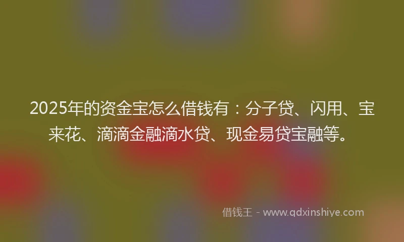 2025年的资金宝怎么借钱有：分子贷、闪用、宝来花、滴滴金融滴水贷、现金易贷宝融等。