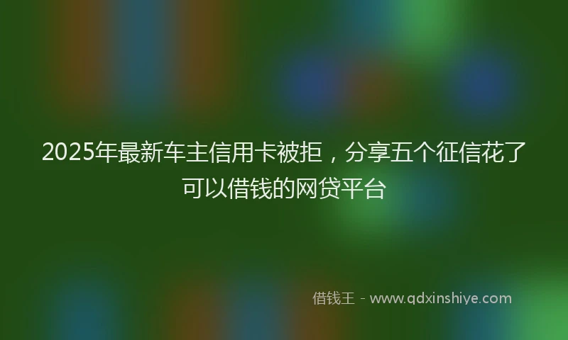2025年最新车主信用卡被拒，分享五个征信花了可以借钱的网贷平台