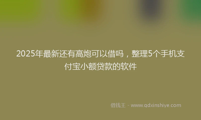 2025年最新还有高炮可以借吗，整理5个手机支付宝小额贷款的软件