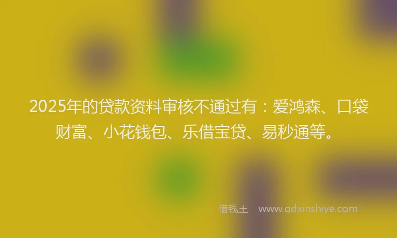 2025年的贷款资料审核不通过有：爱鸿森、口袋财富、小花钱包、乐借宝贷、易秒通等。