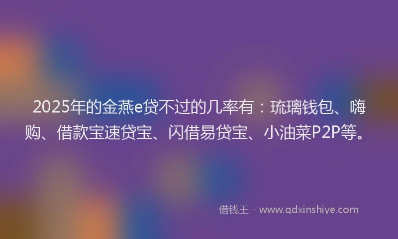 2025年的金燕e贷不过的几率有：琉璃钱包、嗨购、借款宝速贷宝、闪借易贷宝、小油菜P2P等。