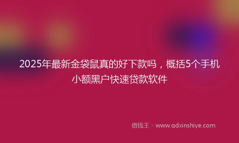 2025年最新金袋鼠真的好下款吗，概括5个手机小额黑户快速贷款软件
