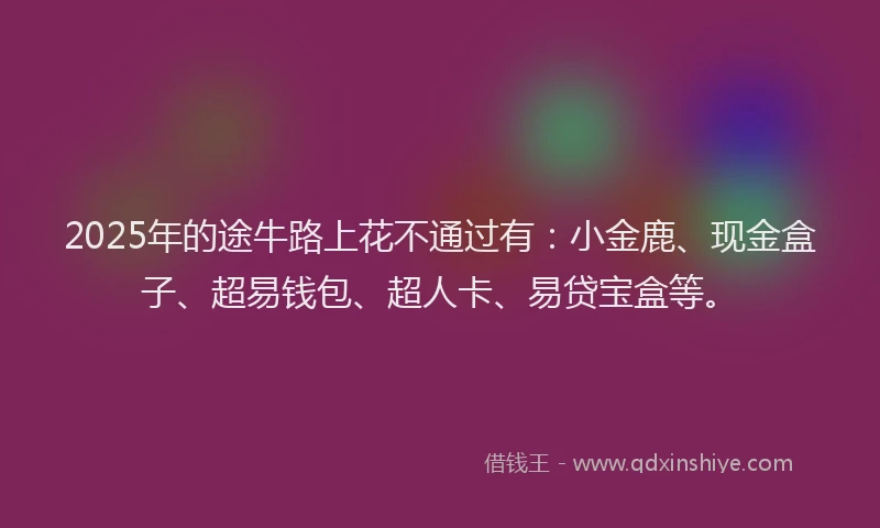2025年的途牛路上花不通过有：小金鹿、现金盒子、超易钱包、超人卡、易贷宝盒等。