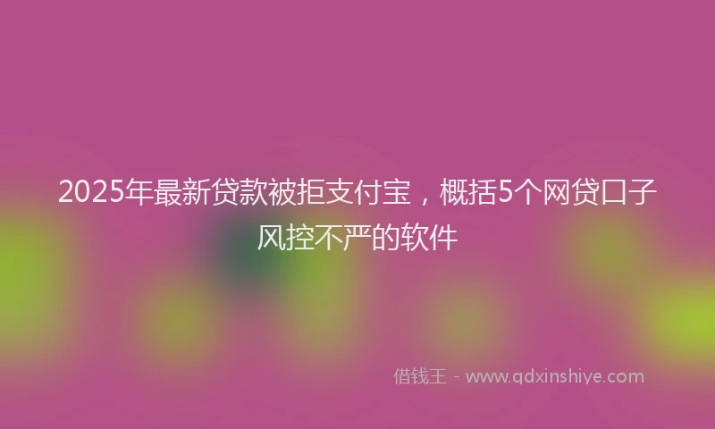 2025年最新贷款被拒支付宝，概括5个网贷口子风控不严的软件