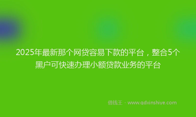 2025年最新那个网贷容易下款的平台，整合5个黑户可快速办理小额贷款业务的平台