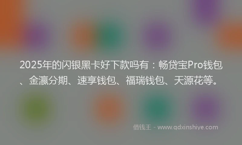 2025年的闪银黑卡好下款吗有:畅贷宝Pro钱包、金瀛分期、速享钱包、福瑞钱包、天源花等。