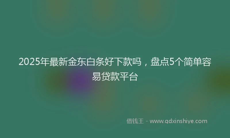 2025年最新金东白条好下款吗，盘点5个简单容易贷款平台