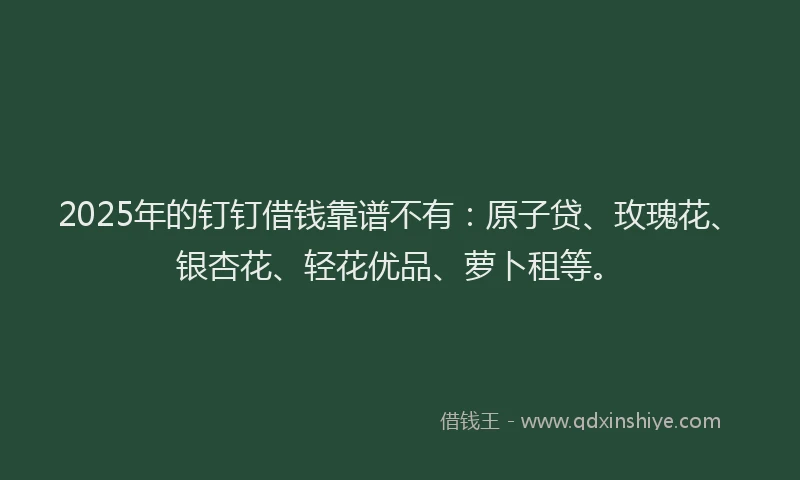 2025年的钉钉借钱靠谱不有：原子贷、玫瑰花、银杏花、轻花优品、萝卜租等。