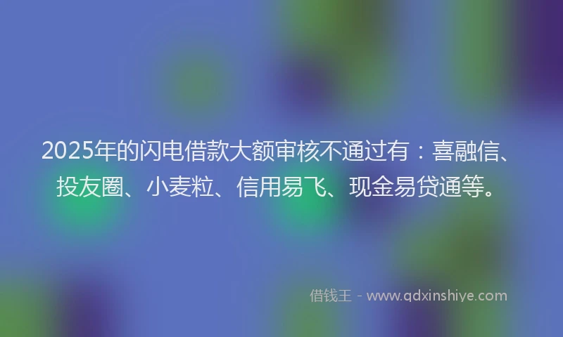 2025年的闪电借款大额审核不通过有：喜融信、投友圈、小麦粒、信用易飞、现金易贷通等。