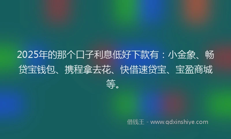 2025年的那个口子利息低好下款有：小金象、畅贷宝钱包、携程拿去花、快借速贷宝、宝盈商城等。
