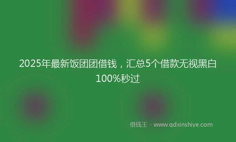2025年最新饭团团借钱，汇总5个借款无视黑白100%秒过