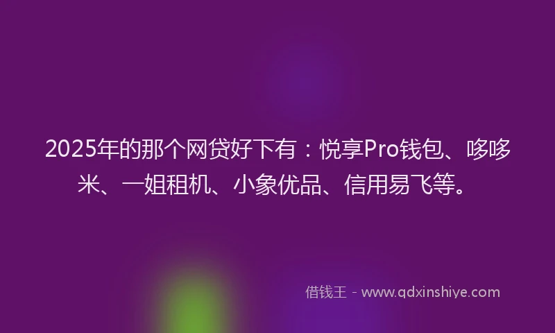2025年的那个网贷好下有：悦享Pro钱包、哆哆米、一姐租机、小象优品、信用易飞等。